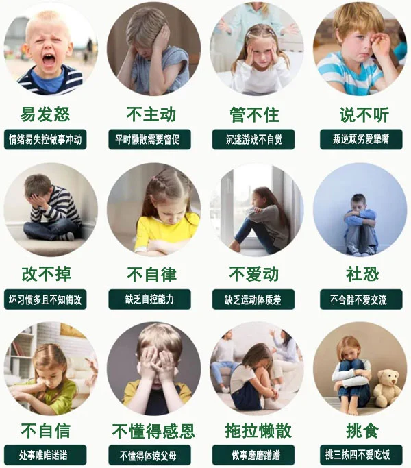 如何利用智能篮板实现个性化篮球训练_2